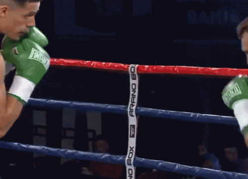 ezgif-2-edcf49b79a.gif