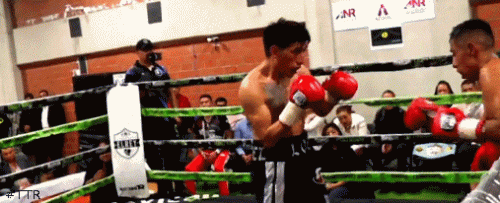 lobitoomardeci4rt34f35.gif
