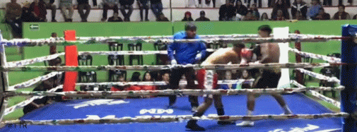 panteralopez54t45g6g5.gif
