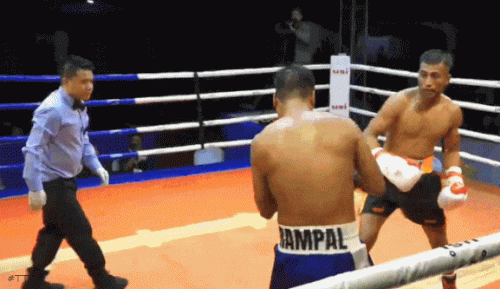 rampaltko34rt3gf54.gif
