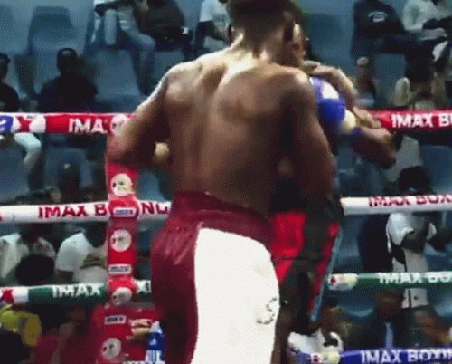 shakulko31e32d4234.gif