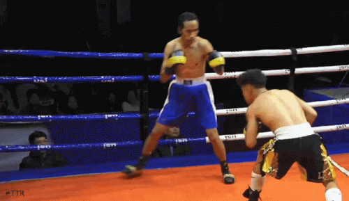 shanborlangko34gf34t54.gif