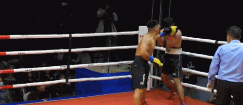 sigatko086756jgh79.gif