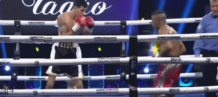 baldorud2KDs43t34gf45g4.gif