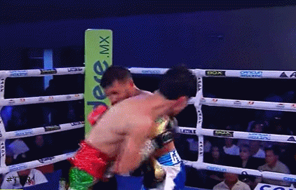 cuellartko54t45gf345.gif