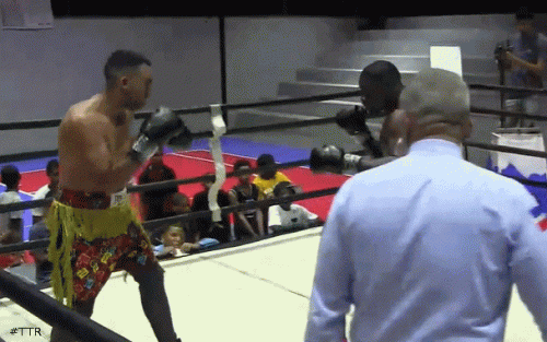 orlandotko45r34gf4.gif