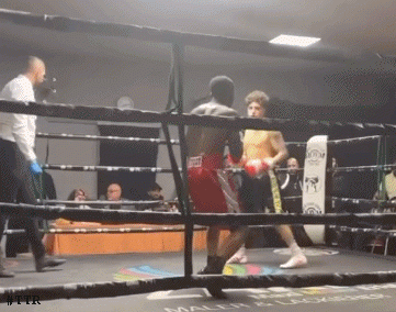 augustoKO3r24f34.gif
