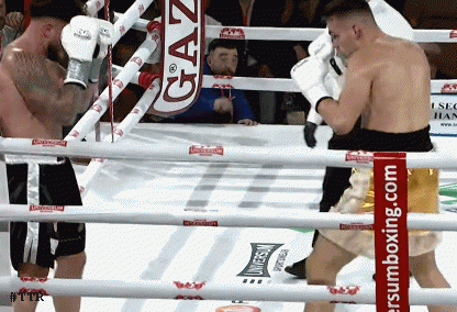 bauertko45t3g45.gif