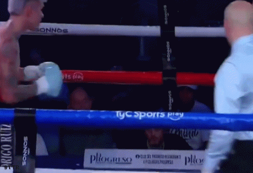 c4ruizudeni4t3f.gif