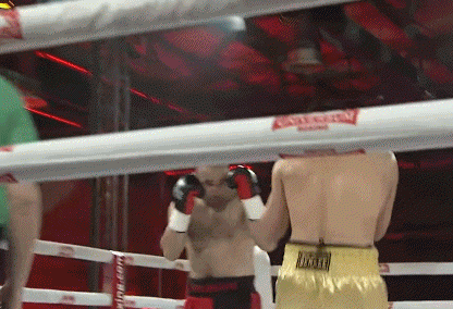 gulerkto435r24tg35.gif
