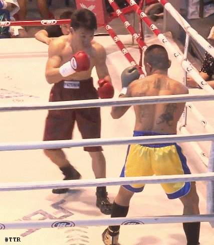 zenfengtko5t45tg45.gif