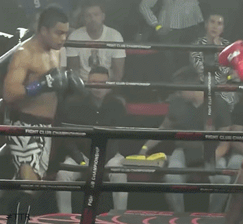 franktklo45r32t453g4.gif