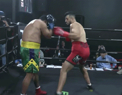 lamranitko345t35g45.gif
