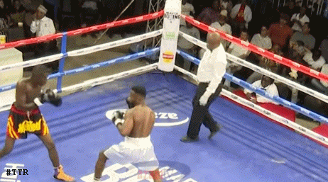 mzeetko53t45g45.gif
