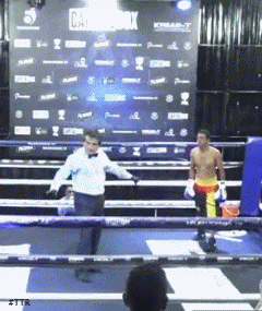 pedroko23er23d3e.gif