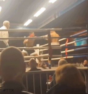 torestko43t34gf54g54.gif