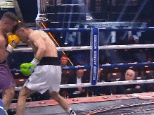 baturovtko34t3g53.gif