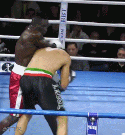 boobatko4t3g45.gif