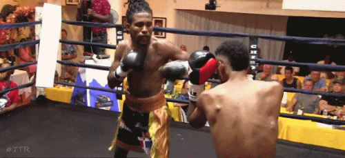 polancotko4t34g34.gif
