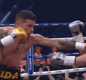 zaurtko34t3435.gif