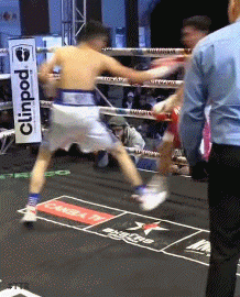 aglaer34t4gftg.gif