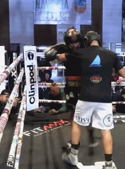 jlcbot4t44tert5.gif