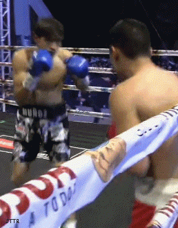 mnoztkot3ww3.gif
