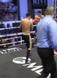 reyes1gegew5.gif