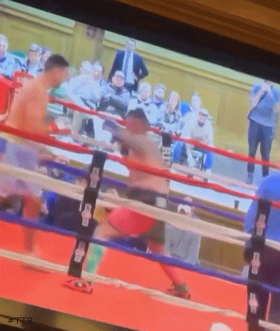 andreitko3424f34t34gf34.gif