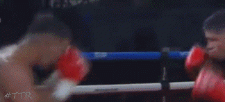dapargtko34t54.gif