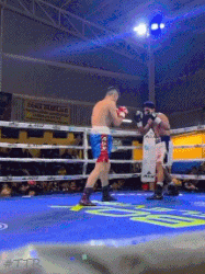 ezgif-6-46fb3ec1c9.gif