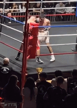 gariktko435r34t.gif