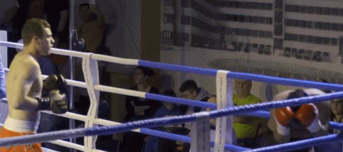 leonidtko34t5g45.gif