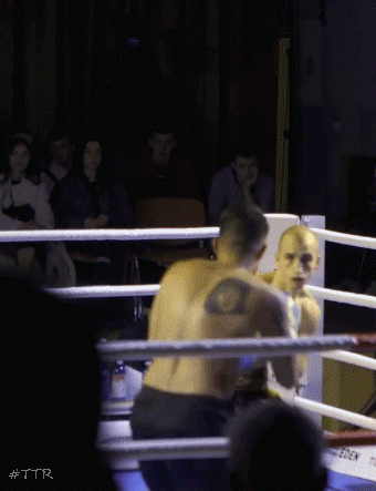 novaktko4r34.gif