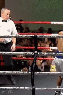 quinntko43tko43s23.gif