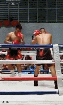 bacarokorf3ko33ko3fh.gif