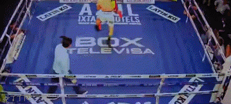 cuadrodown343rt34.gif