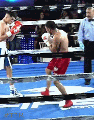 estradadec4t3tg5456.gif