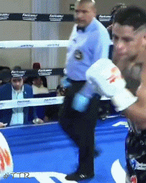 vadodecision453tg45ty.gif