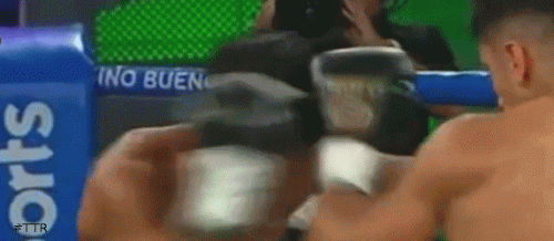 agattiko342r3434ko.gif