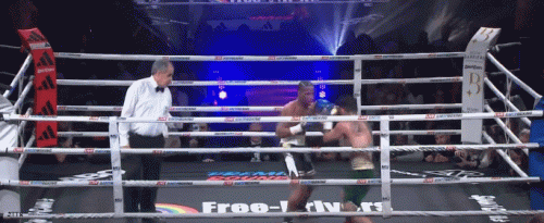 hippo1gdf487.gif