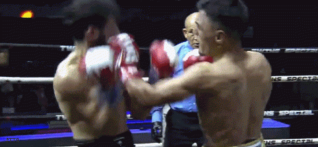 aszah2332h22.gif