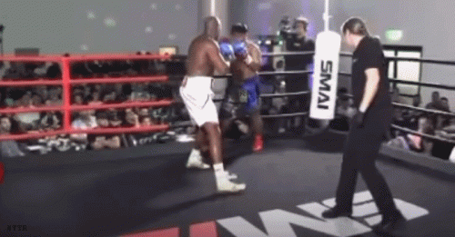 bakerko3424f35g45.gif