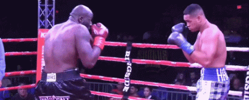 barnti122g22dgfd2.gif