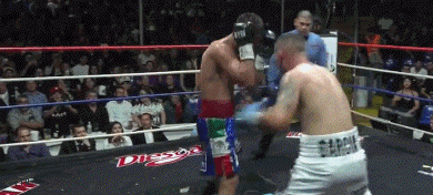 kore5f4e6e6ee6es5.gif