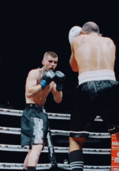 lewisko2423r4325r.gif