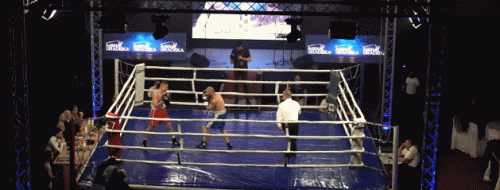 elverintko56g45ko.gif