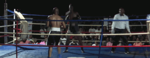 ezgif-6-2521319067.gif