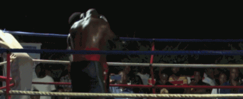 ezgif-7-17e11cd346.gif