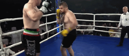 leone1tko243f5ko.gif